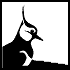 Lapwing logo
